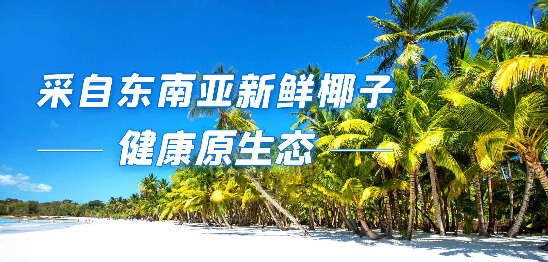 清藍(lán)banner