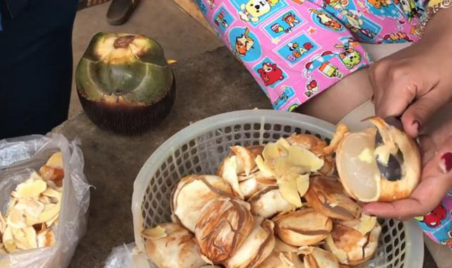 棕櫚果去皮 棕櫚果去皮