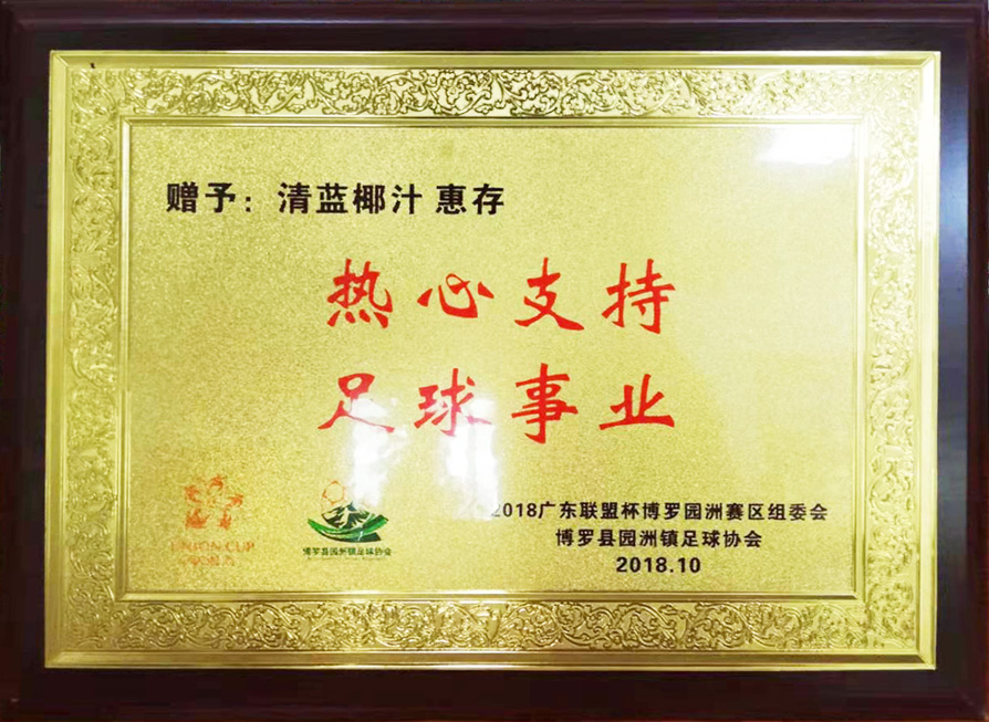 2018聯(lián)盟杯+園洲足協(xié)